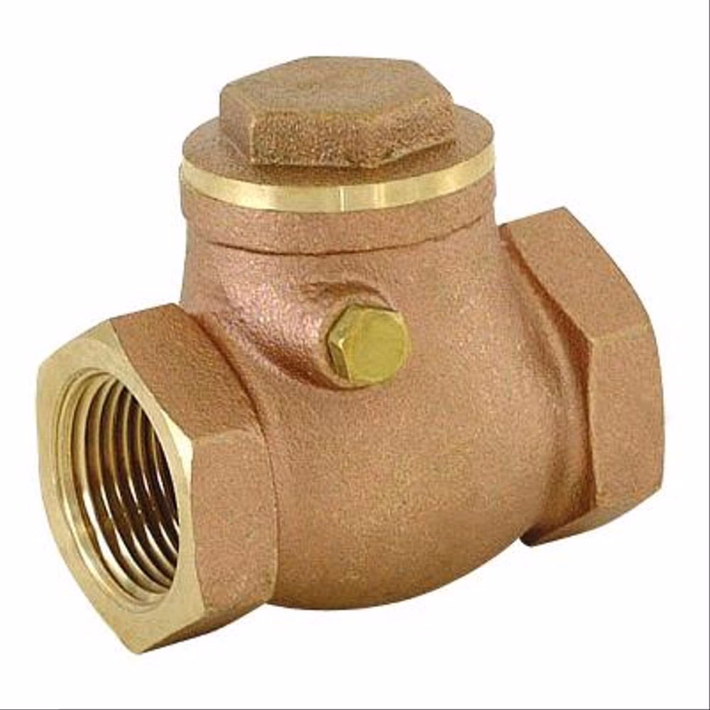 check valve